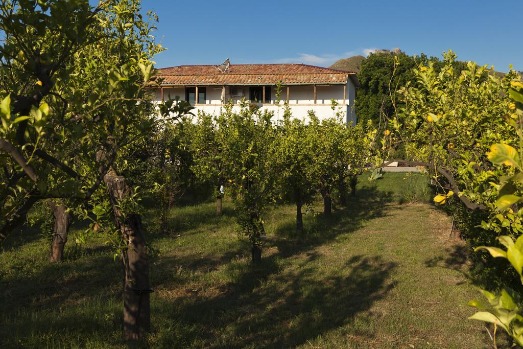 Agriturismo Terrenia Villa Trappitello Exteriör bild