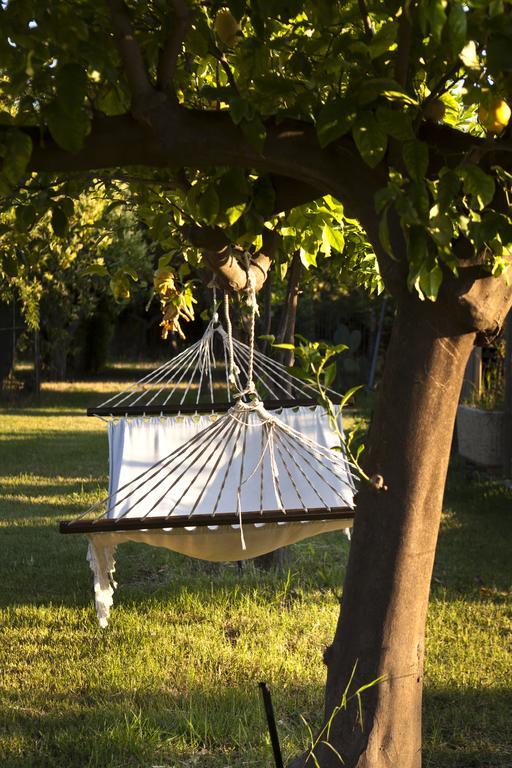 Agriturismo Terrenia Villa Trappitello Exteriör bild